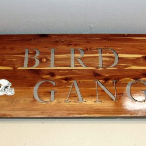 Arizona Cardinals Bird Gang locally made Art
